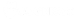 Cognisys White Logo