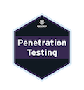 ServiceLogoIcon_PenTest