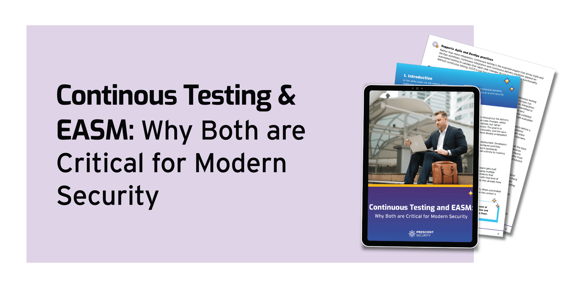 WP_ConTestingEASM_LP