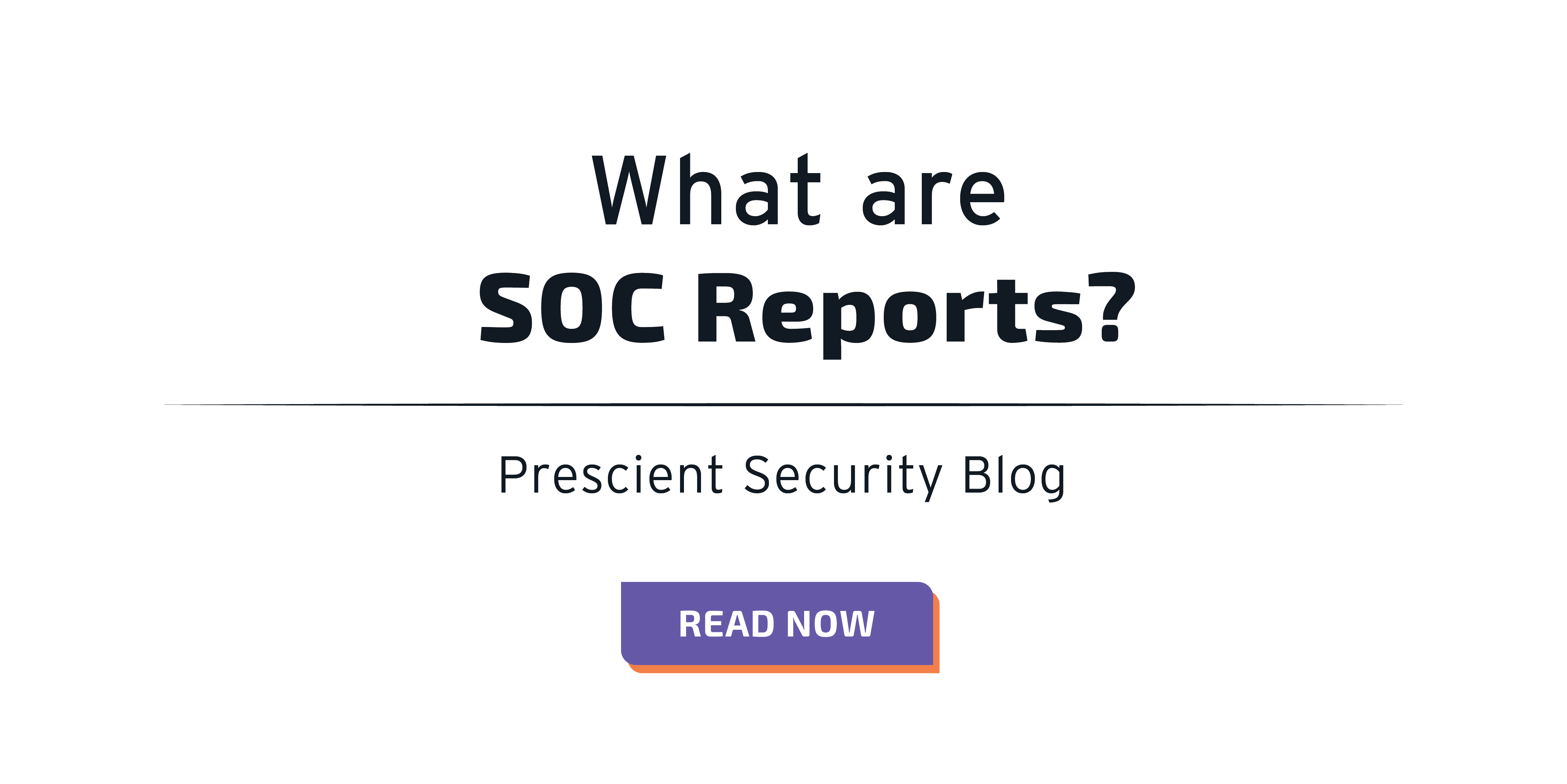 What are SOC Reports?